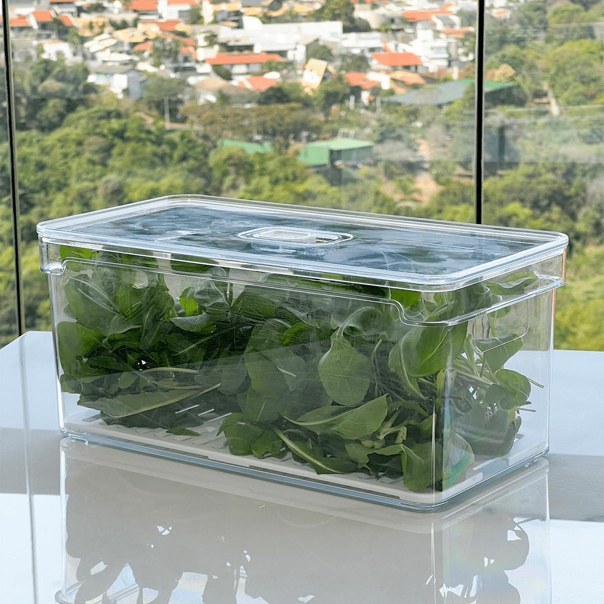 Organizador Clear Fresh 5 Litros