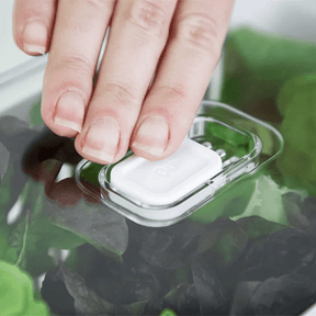 Organizador de Geladeira Clear Fresh com Cesto 2,2 Litros